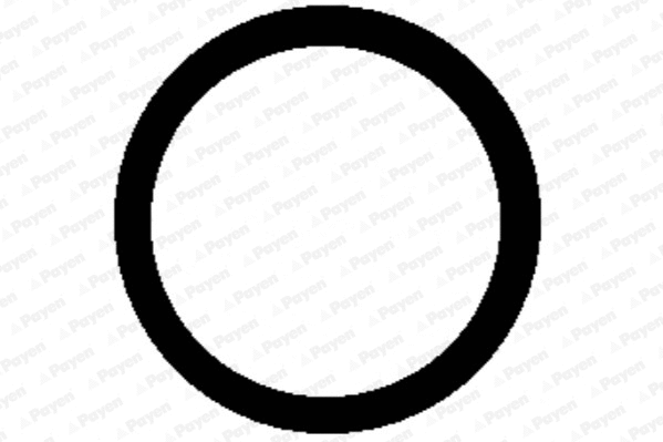 Gasket, intake manifold (WG1182000)