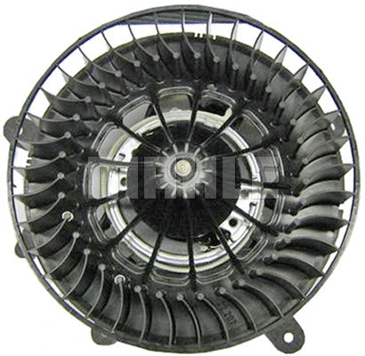Interior Blower