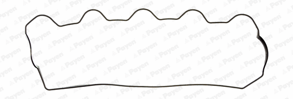 Gasket, cylinder head cover (WG1182816)