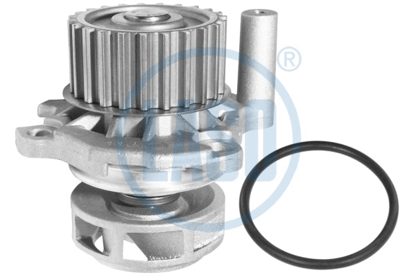 Water Pump, engine cooling (WG1709897)