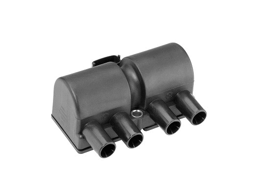 Ignition Coil (WG1756485)