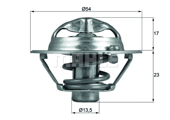 Thermostat, coolant (WG1217873)