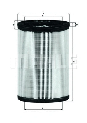 Air Filter (WG1216634)