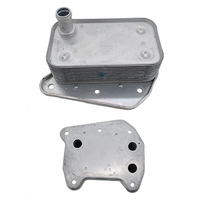 Oil Cooler, engine oil (WG2168277)
