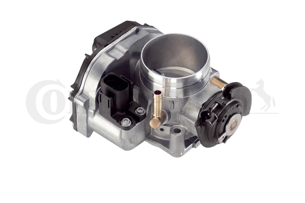 Throttle Body (WG1032705)