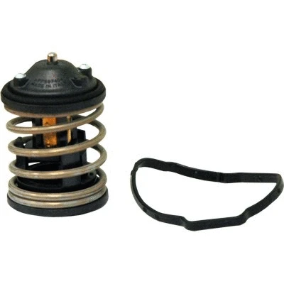 Thermostat, coolant (WG1409444)