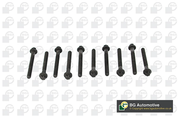 Cylinder Head Bolt Set (WG1489975)