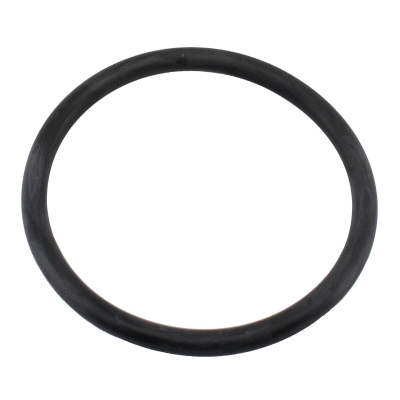 Seal, thermostat (WG2196060)