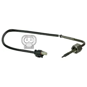 Sensor, exhaust gas temperature (WG1774460)
