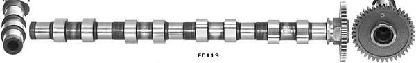 Camshaft (WG1796144)