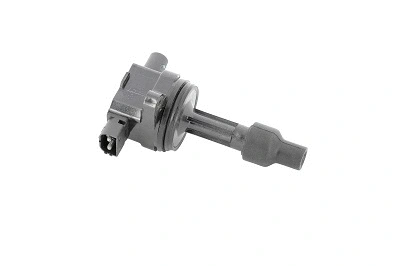Ignition Coil (WG1487463)
