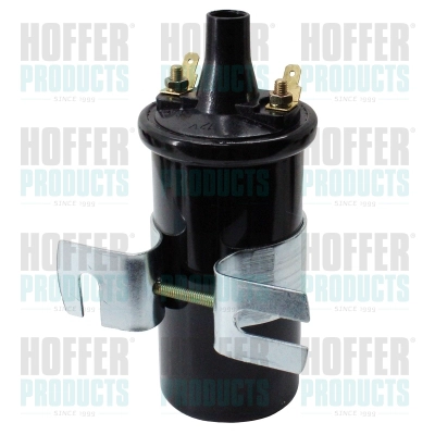 Ignition Coil (WG1905308)