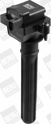 Ignition Coil (WG1487465)