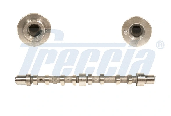Camshaft (WG1426578)