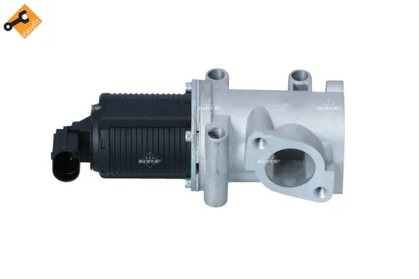EGR Valve (WG2161868)