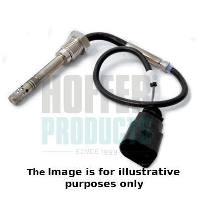 Sensor, exhaust gas temperature (WG1964783)