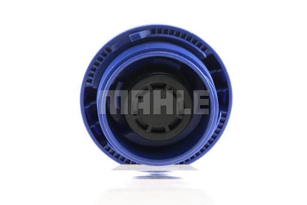 Cap, coolant tank (WG2184216)