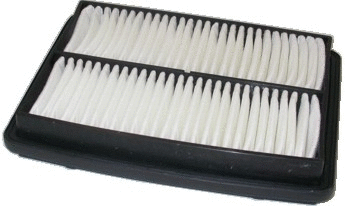Air Filter (WG1746784)