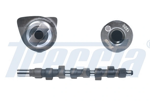 Camshaft (WG1155320)