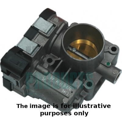 Throttle Body (WG1821516)