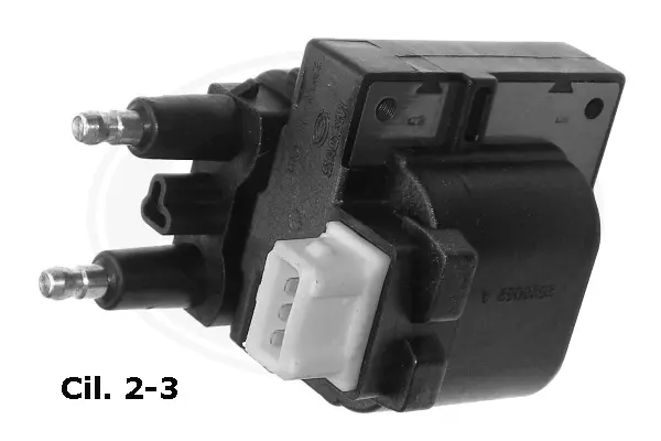 Ignition Coil (WG1496622)