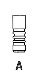 Intake Valve (WG1157748)