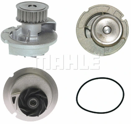Water Pump, engine cooling (WG2181387)