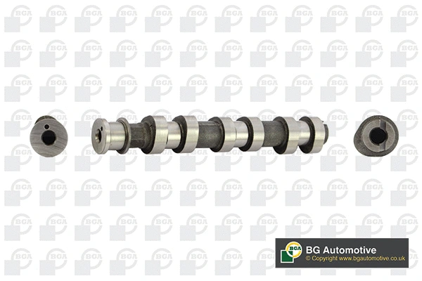 Camshaft (WG1490559)