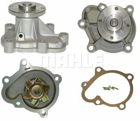 Water Pump, engine cooling (WG2181630)