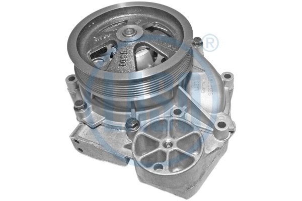 Water Pump, engine cooling (WG1709874)