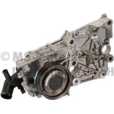 Water Pump, engine cooling (WG1806747)