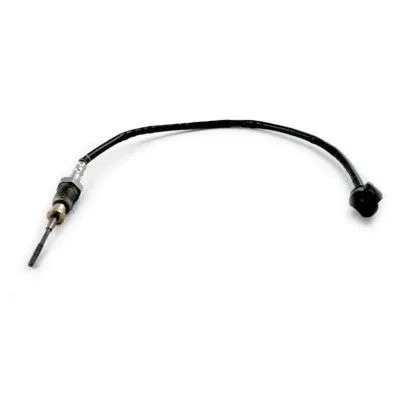 Sensor, exhaust gas temperature (WG1807445)