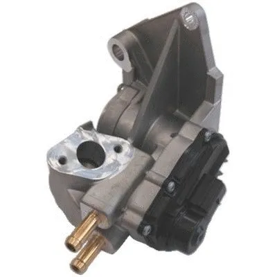 EGR Valve (WG1484314)