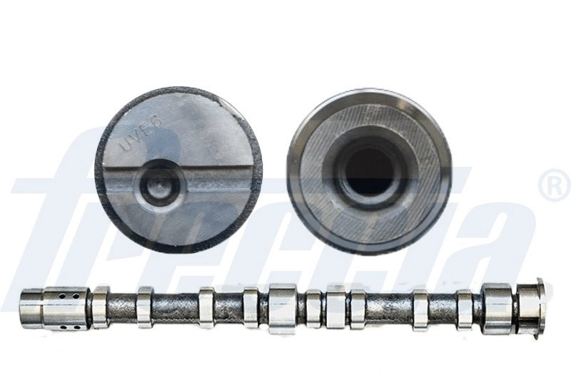 Camshaft (WG1426576)