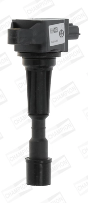 Ignition Coil (WG2009284)