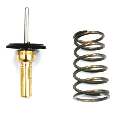 Thermostat, coolant (WG1409529)