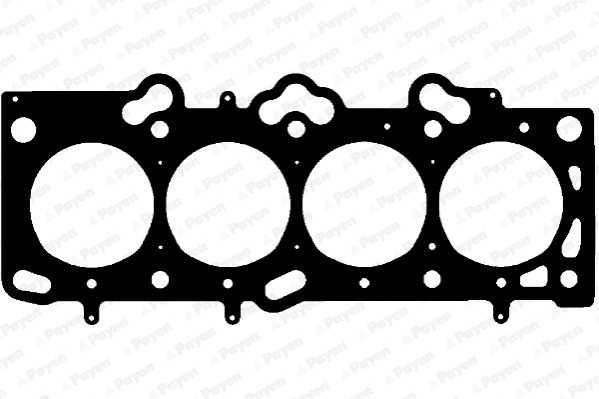 Gasket, cylinder head (WG1090904)