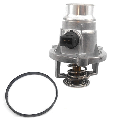 Thermostat, coolant (WG1409507)