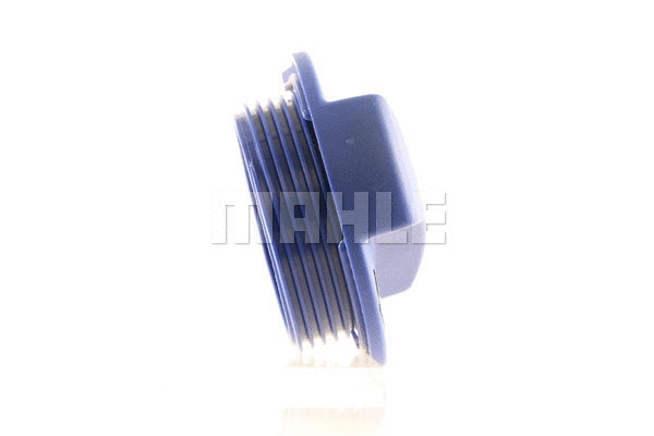 Cap, coolant tank