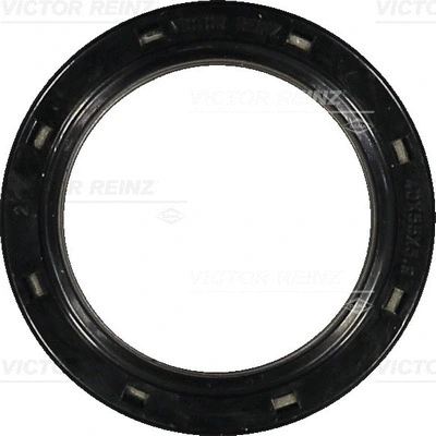 Shaft Seal, crankshaft (WG1379829)