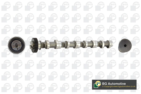 Camshaft (WG1490639)