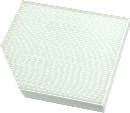 Filter, cabin air (WG1747285)