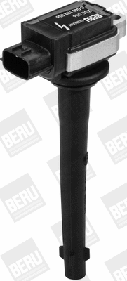 Ignition Coil (WG1487560)