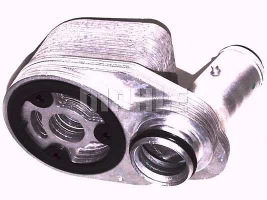Oil Cooler, engine oil (WG2181059)