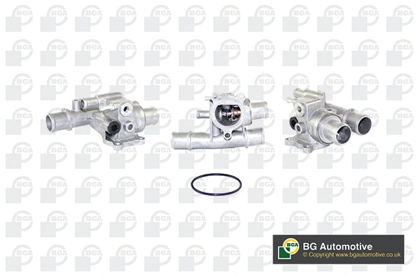 Thermostat, coolant (WG1760358)