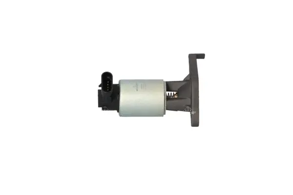 EGR Valve (WG2161820)