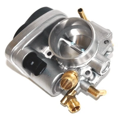 Throttle Body (WG1013601)