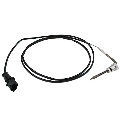 Sensor, exhaust gas temperature (WG1964692)