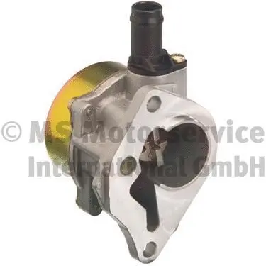 Vacuum Pump, braking system (WG1025685)