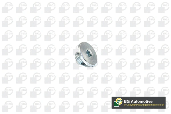 Screw Plug, oil sump (WG1766641)
